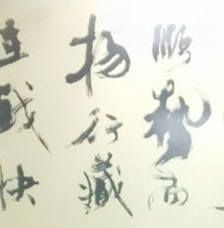 康子網誌